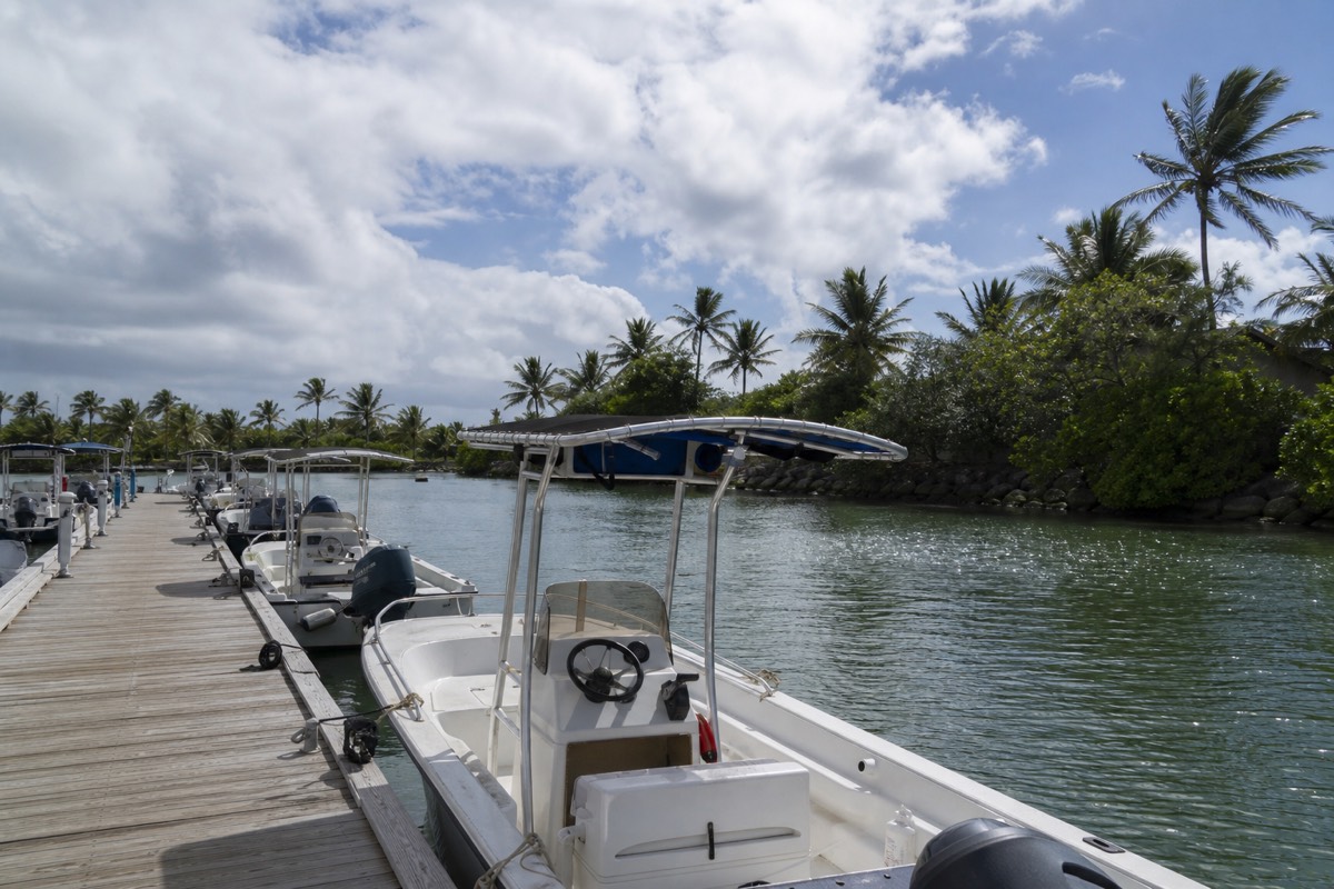 Rental boats docked at a marina on Oahu
