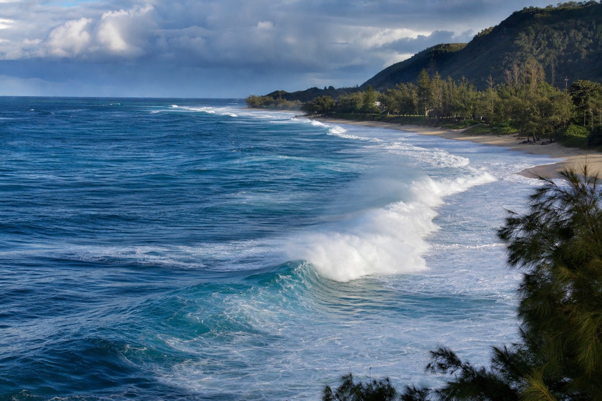 Oahu's North Shore